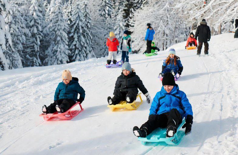 Где покататься на санках в Баварии? 1 ❄️ Где покататься на санках в Баварии?Зима в Баварии — это не только горы и снег, но и отличные трассы для санок!