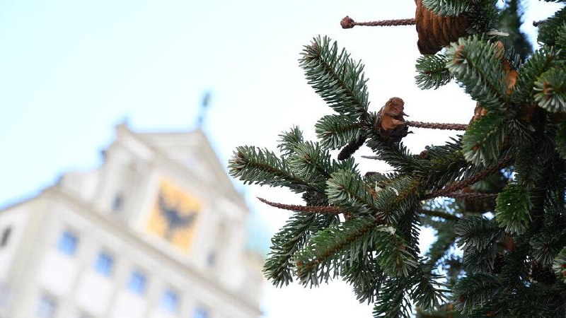🎄 Мэрия Аугсбурга: ограничения в работе городских служб между праздникамиВ период между Рождеством и Новым годом городская админ...