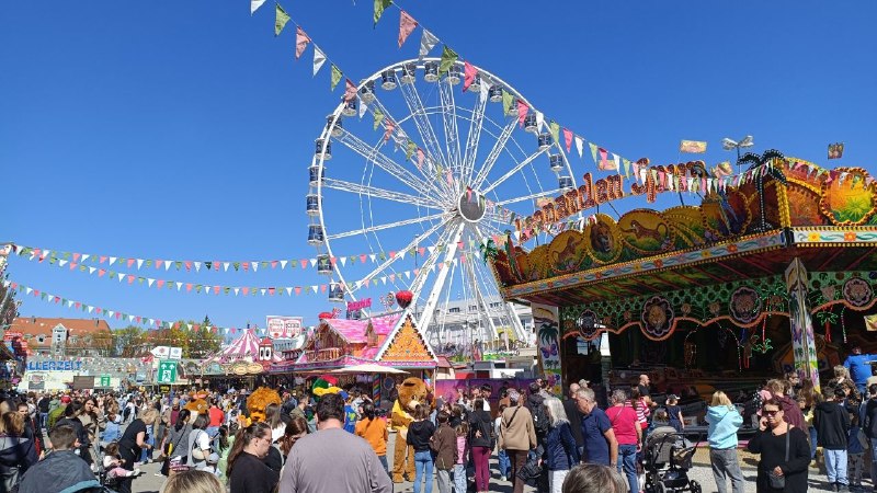 🥨 Семейный день на Плеррере: почему стоит пойти с детьми сегодня?